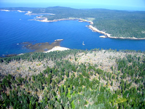 Air view of Isle au Haut